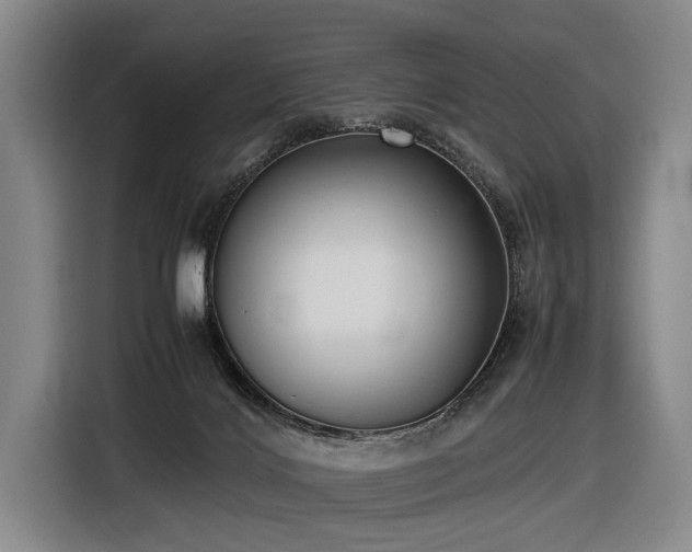 X0000116600028200912111123