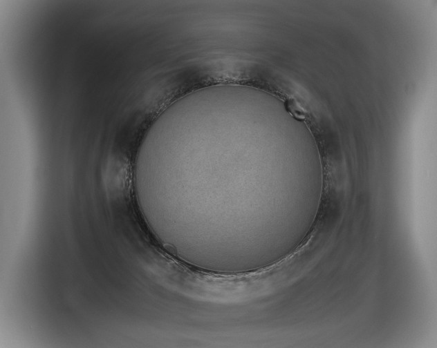 X0000116600029200912111123
