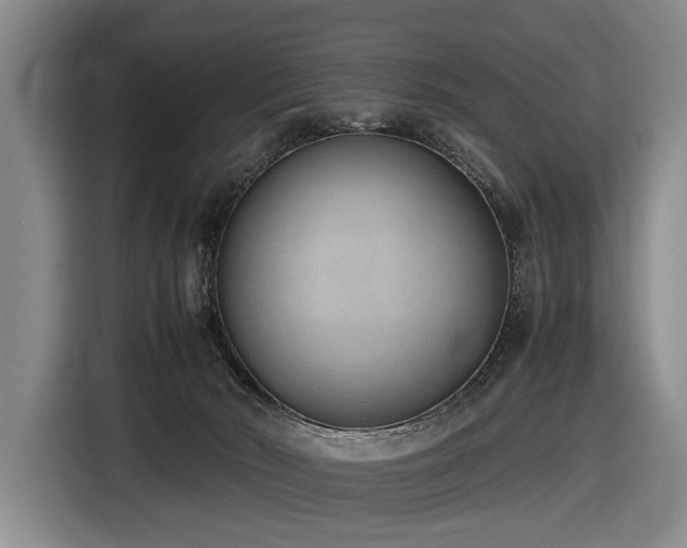 X0000116600030200912111123