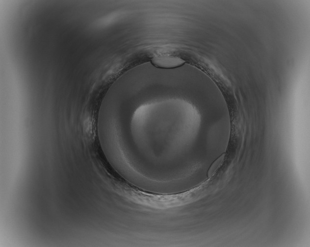 X0000116600031200912111123