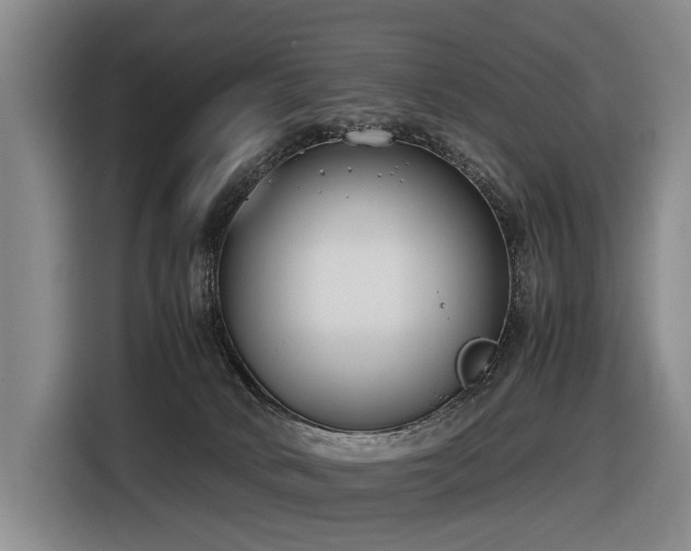 X0000116600034200912111123