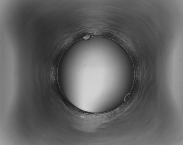X0000116600036200912111123