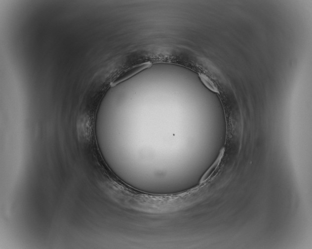 X0000116600037200912111123