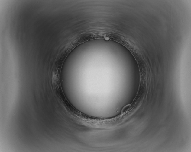 X0000116600040200912111123