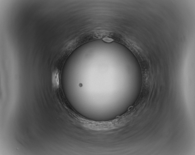 X0000116600042200912111123