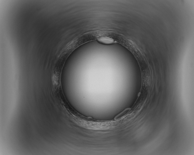 X0000116600044200912111122