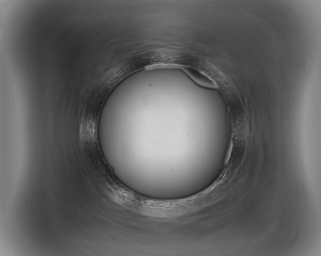 X0000116600045200912111122