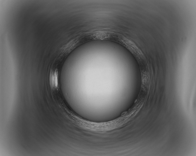 X0000116600046200912111122
