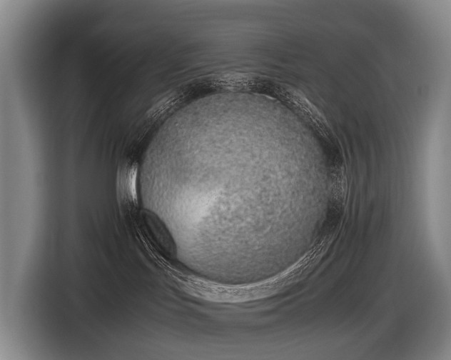 X0000116600047200912111122