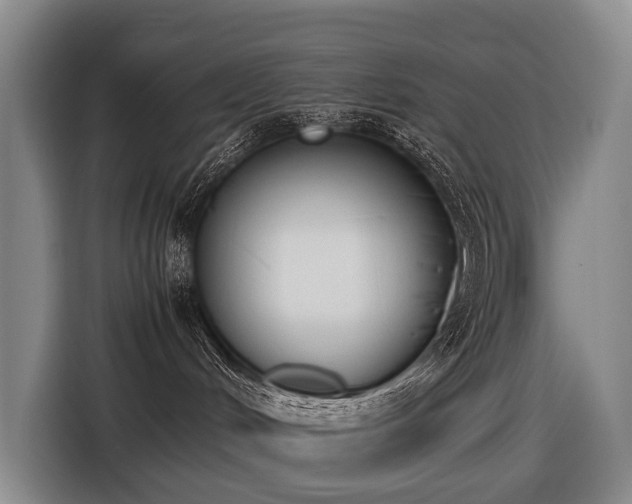 X0000116600048200912111122