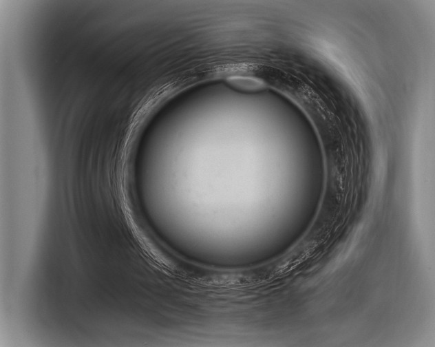 X0000116600049200912111122