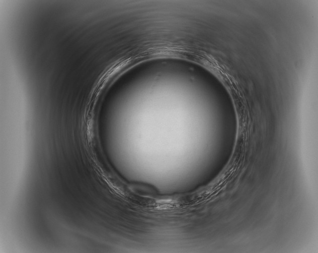 X0000116600050200912111122