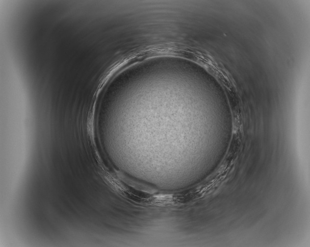 X0000116600052200912111122