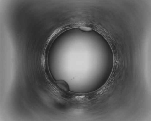X0000116600054200912111122
