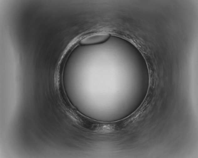 X0000116600056200912111122