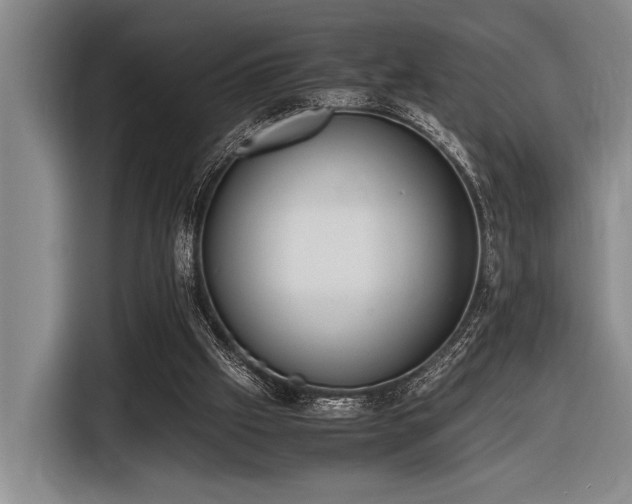 X0000116600057200912111122
