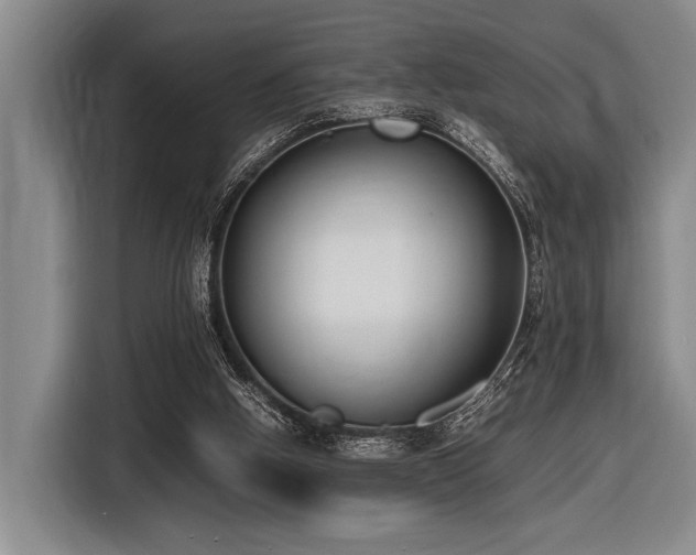 X0000116600058200912111122