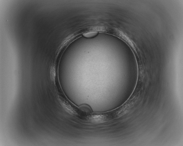 X0000116600059200912111122