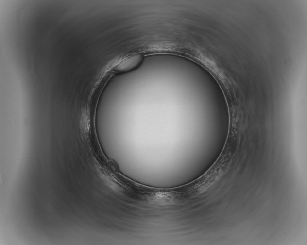 X0000116600060200912111122