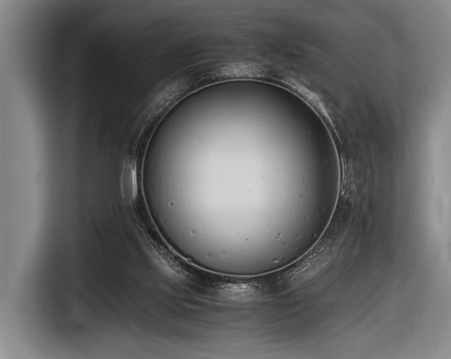 X0000116600061200912111122