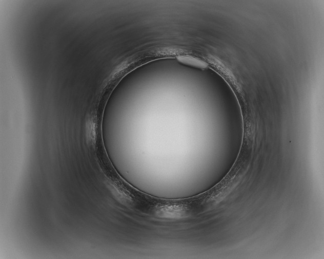 X0000116600063200912111122