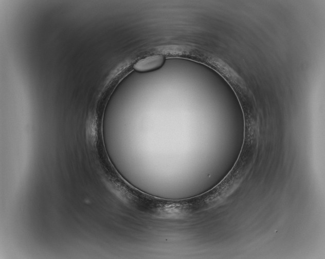 X0000116600064200912111122