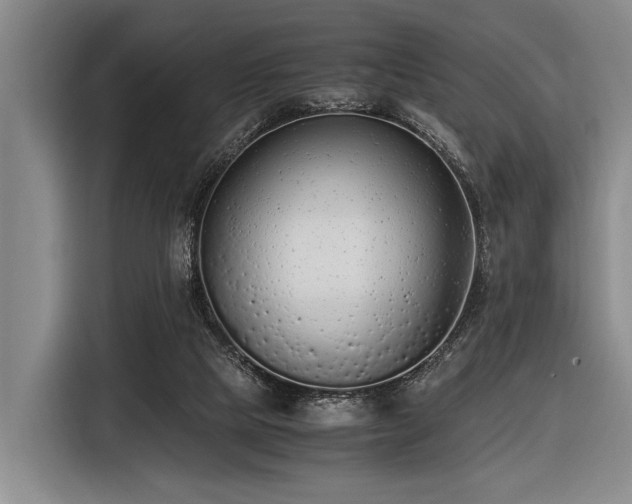 X0000116600065200912111122