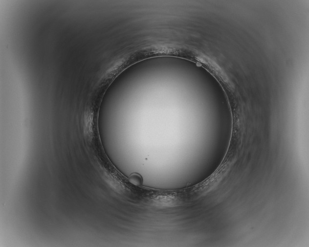 X0000116600066200912111122