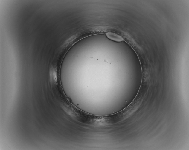 X0000116600068200912111122