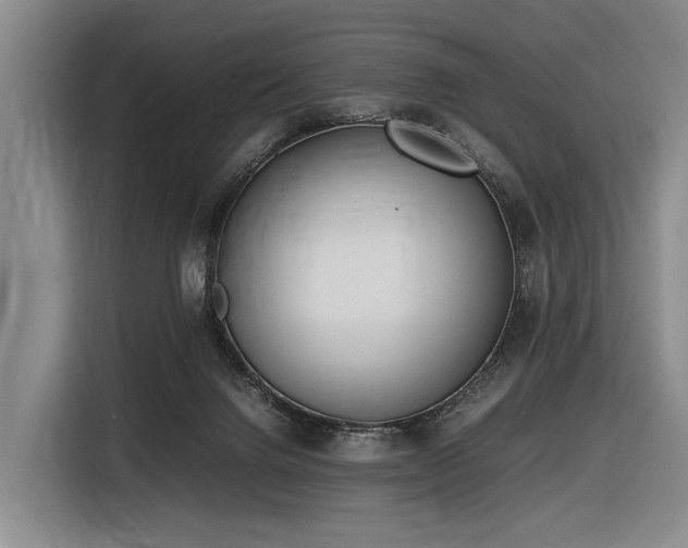 X0000116600072200912111122
