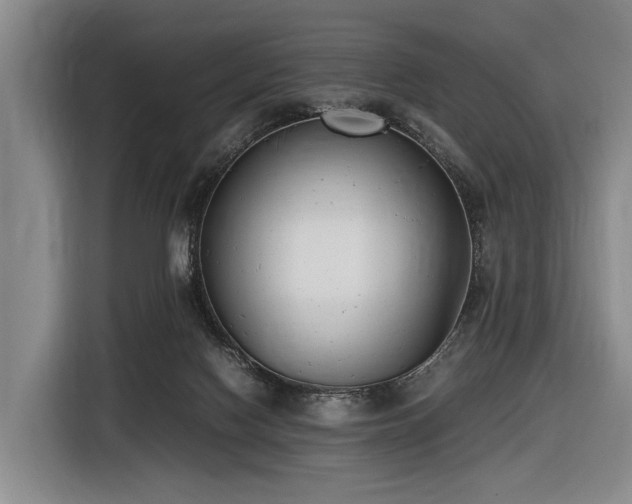 X0000116600074200912111122