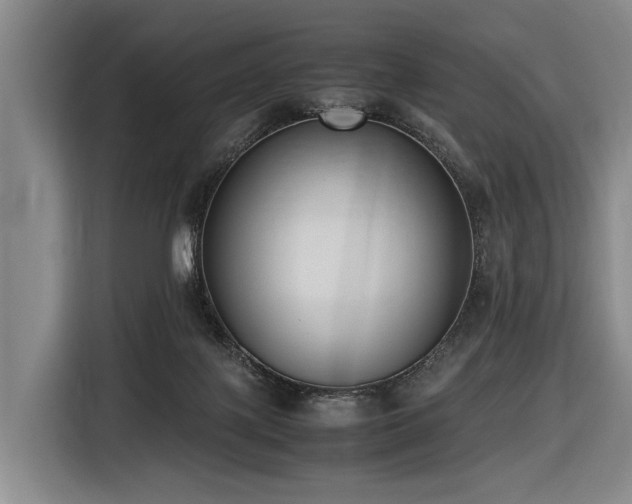 X0000116600075200912111122