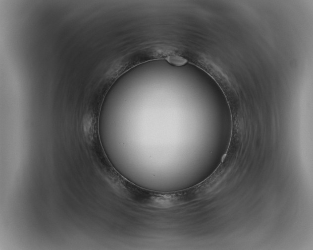 X0000116600079200912111122