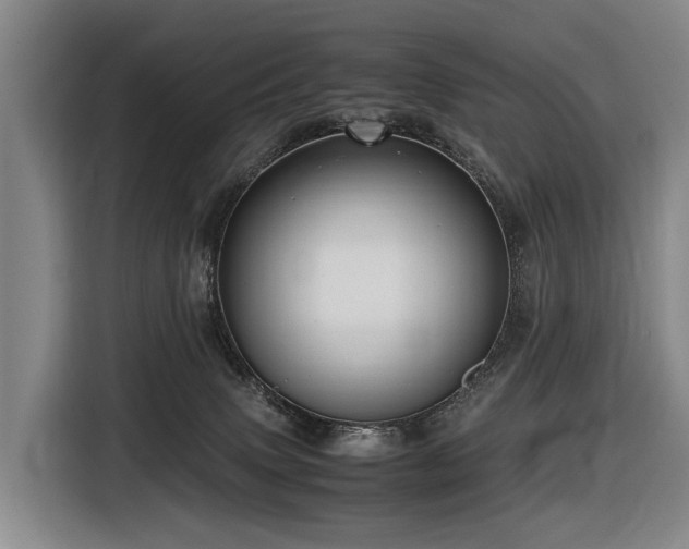 X0000116600083200912111122