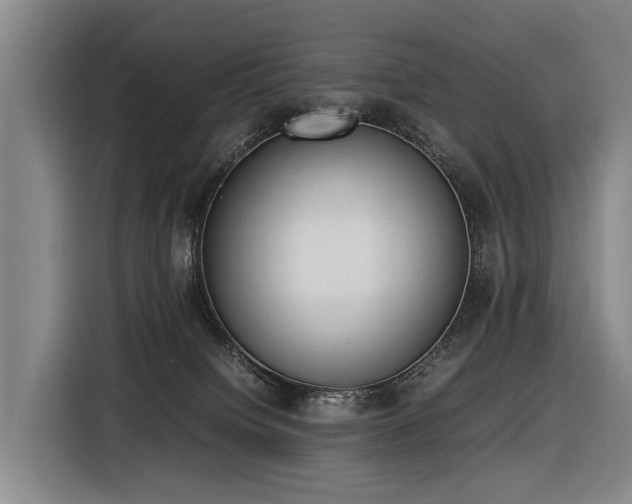X0000116600084200912111122