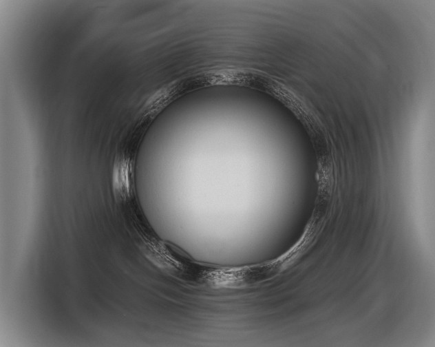 X0000116600094200912111122