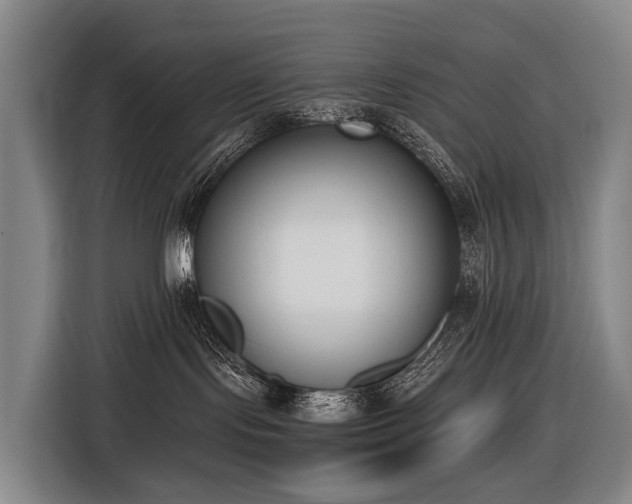 X0000116600095200912111122