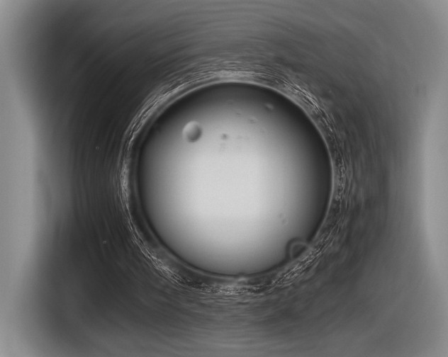 X0000116600098200912111122