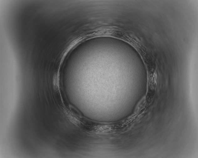 X0000116600100200912111122