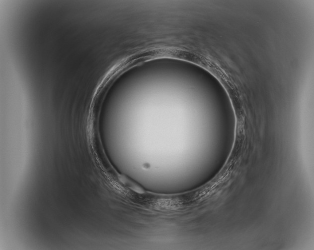 X0000116600101200912111122