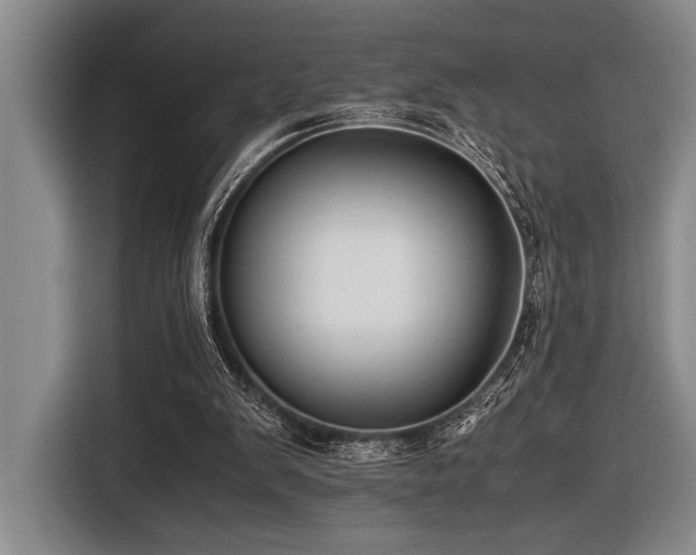 X0000116600103200912111122