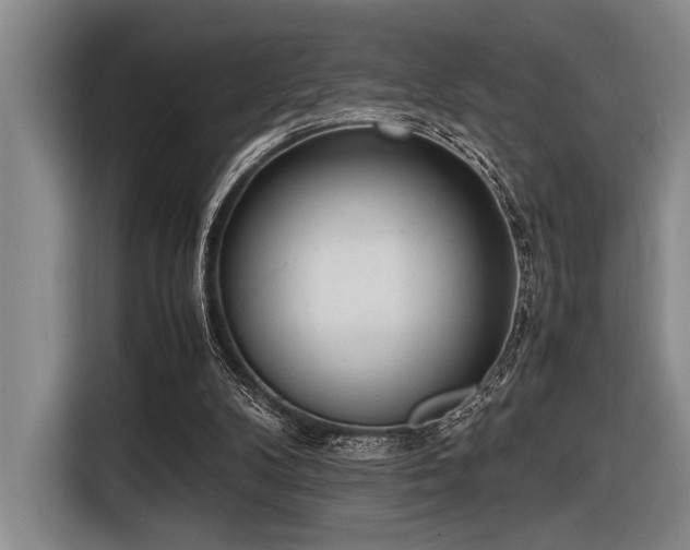 X0000116600104200912111122