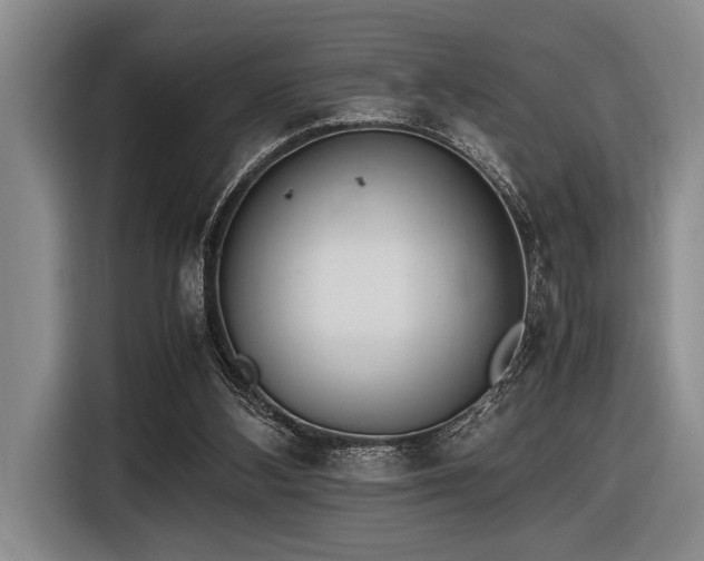 X0000116600108200912111122