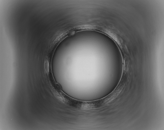 X0000116600109200912111122