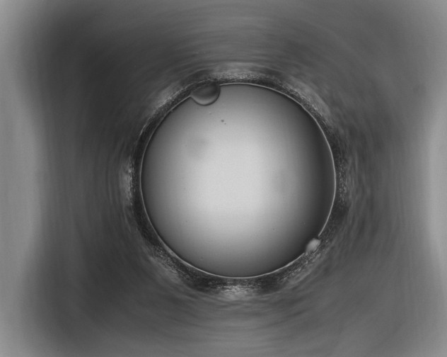 X0000116600111200912111122