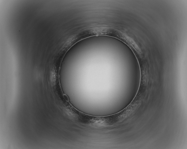 X0000116600113200912111122