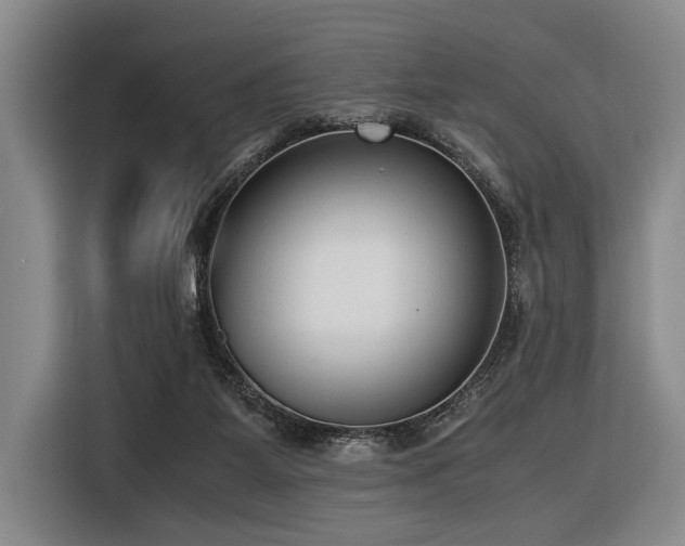X0000116600115200912111122