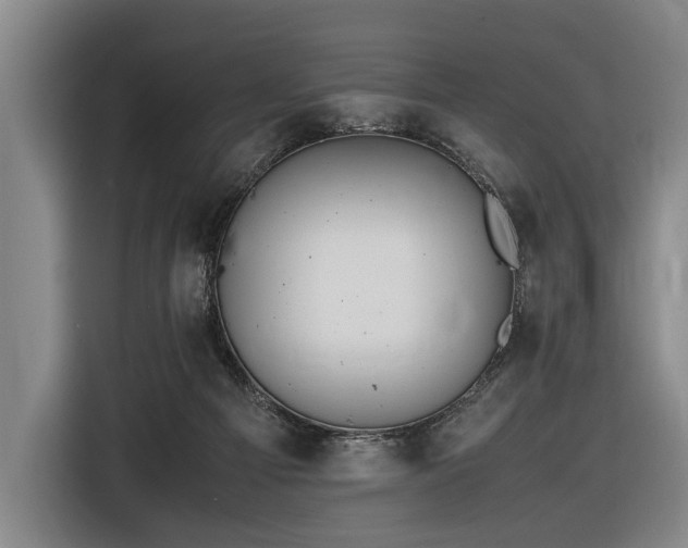 X0000116600121200912111121