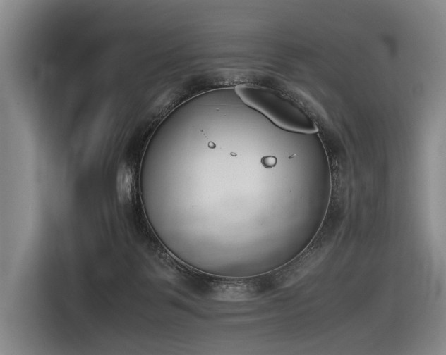 X0000116600123200912111121