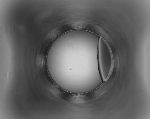 X0000116600125200912111121